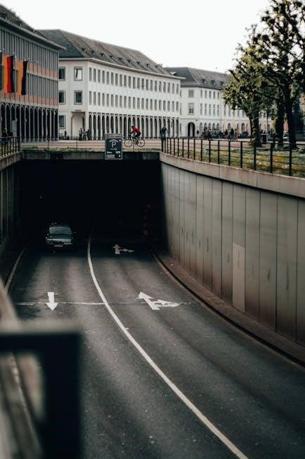 hyperfocus chris bailey pdf